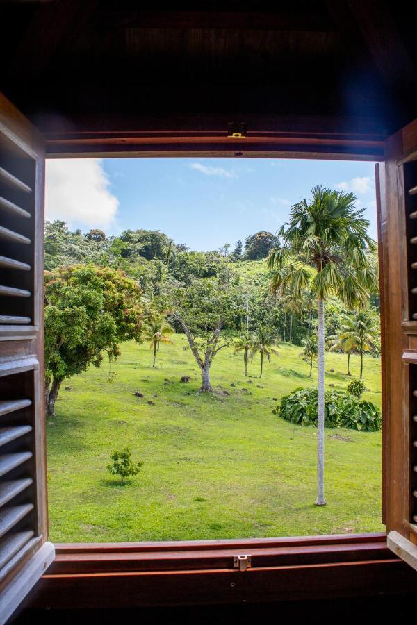 Jardin Malanga Basse-Terre Exterior foto