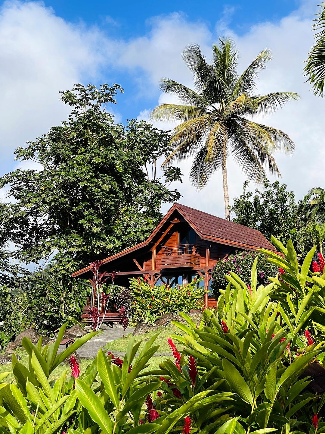 Jardin Malanga Basse-Terre Exterior foto