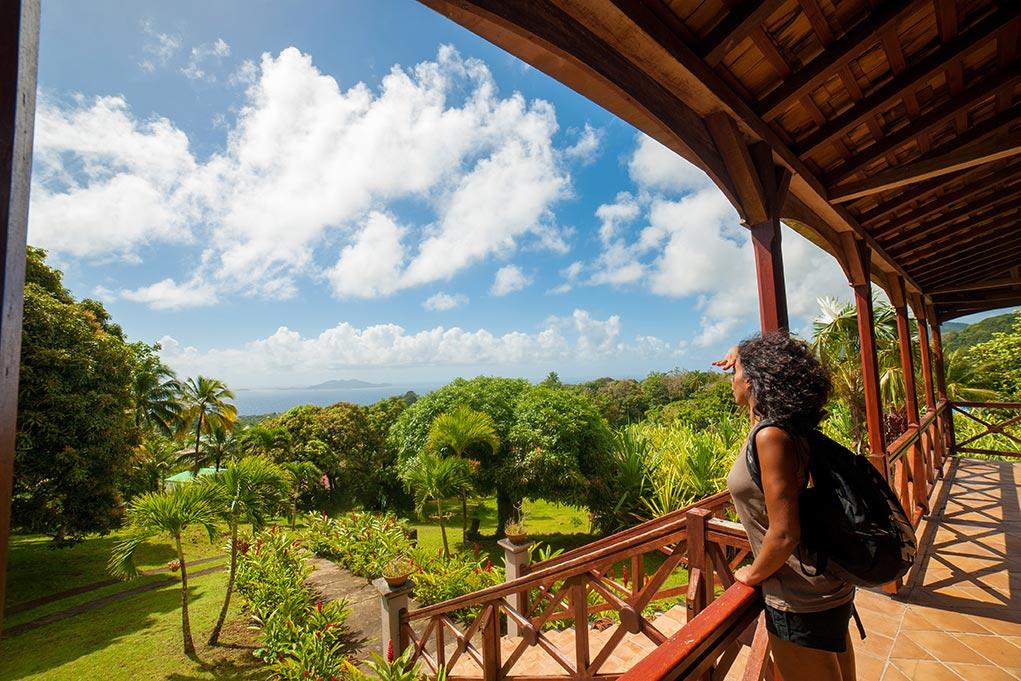 Jardin Malanga Basse-Terre Exterior foto