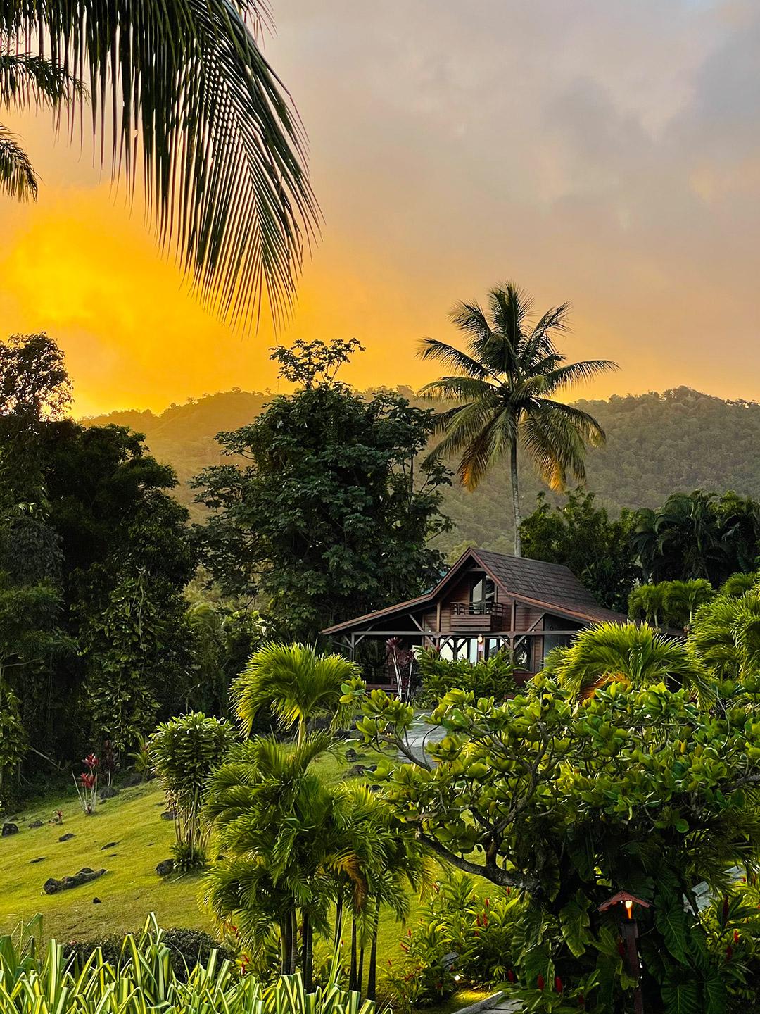 Jardin Malanga Basse-Terre Exterior foto