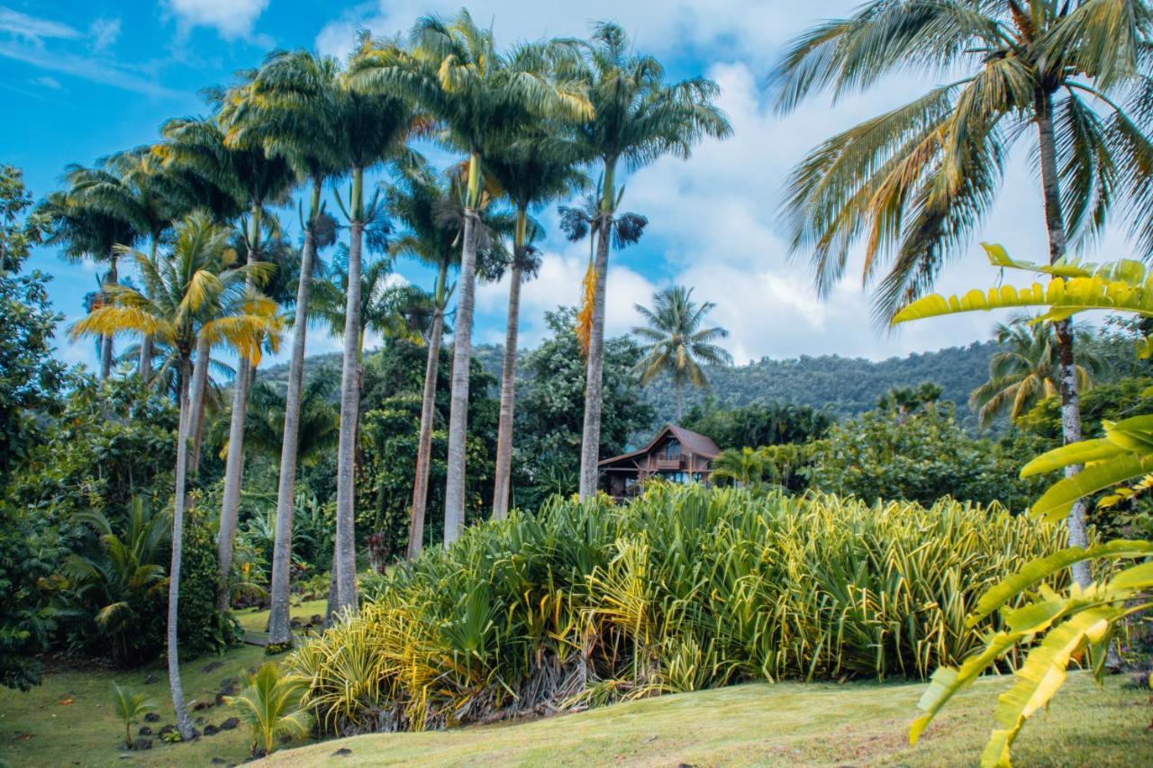 Jardin Malanga Basse-Terre Exterior foto
