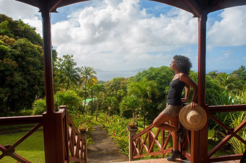 Jardin Malanga Basse-Terre Exterior foto