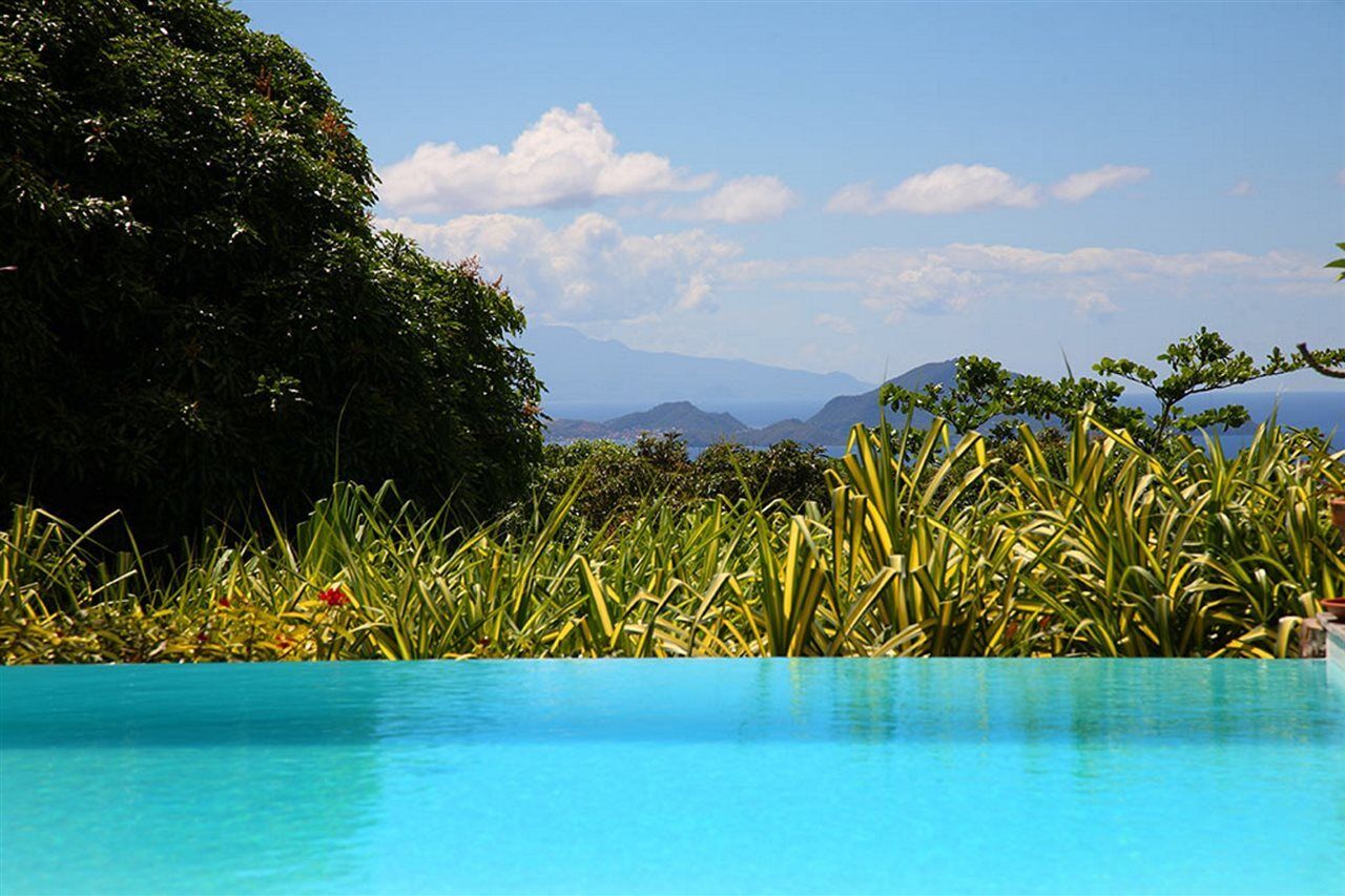Jardin Malanga Basse-Terre Exterior foto